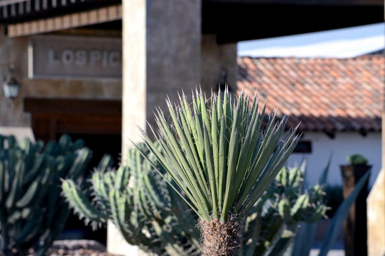 Hacienda Los Picachos Alcocer Exterior foto